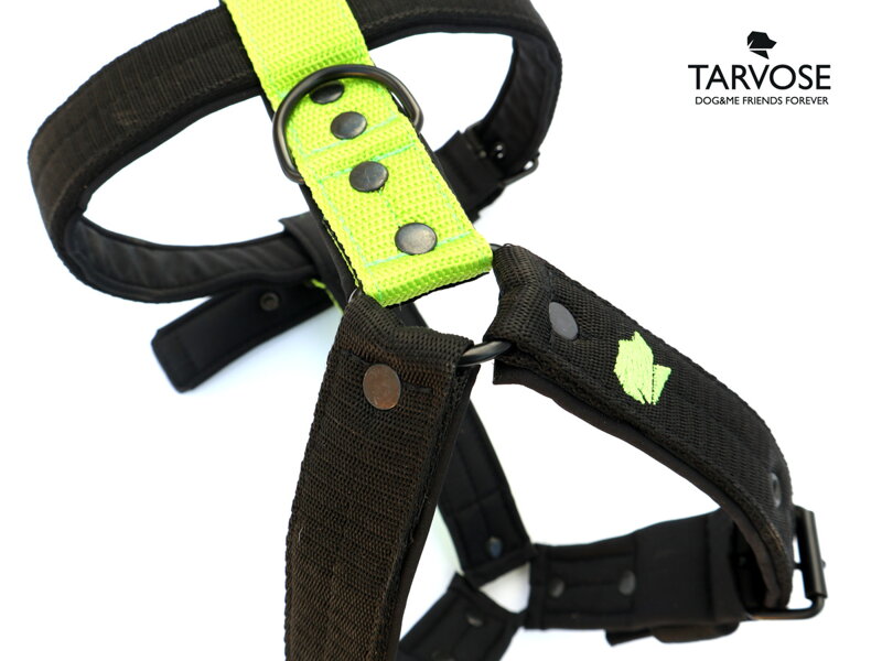 Black/Lime Tarvose postroj 3 cm šíře - černá/zelená, SKLADEM